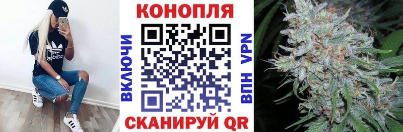 Каннабис Мурино