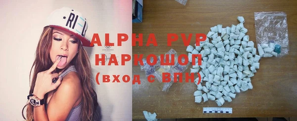 гашик Няндома