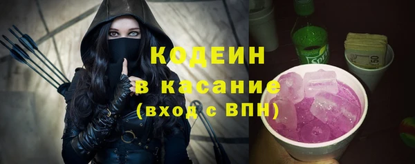 гашик Няндома