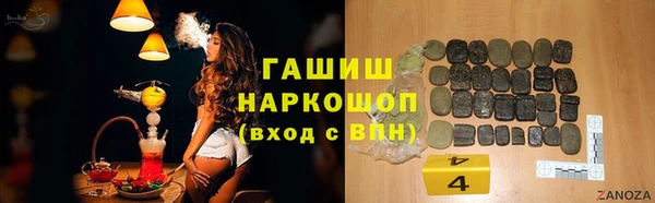 гашик Няндома