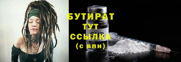 гашик Няндома