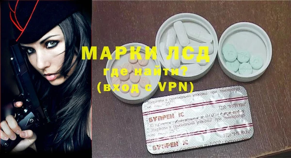 гашик Няндома