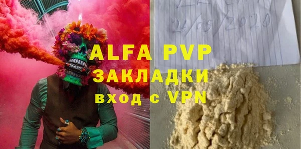 гашик Няндома