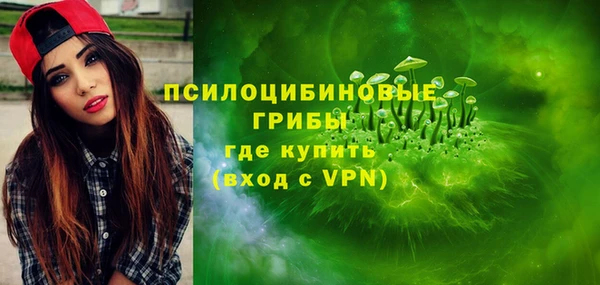 не бодяженный Нязепетровск