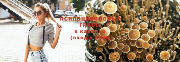 не бодяженный Нязепетровск