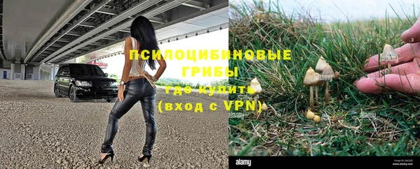 не бодяженный Нязепетровск