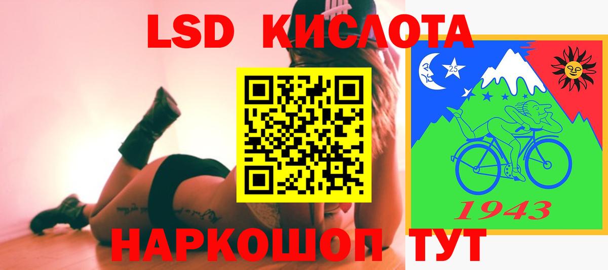 Галлюциногенные грибы Мурино