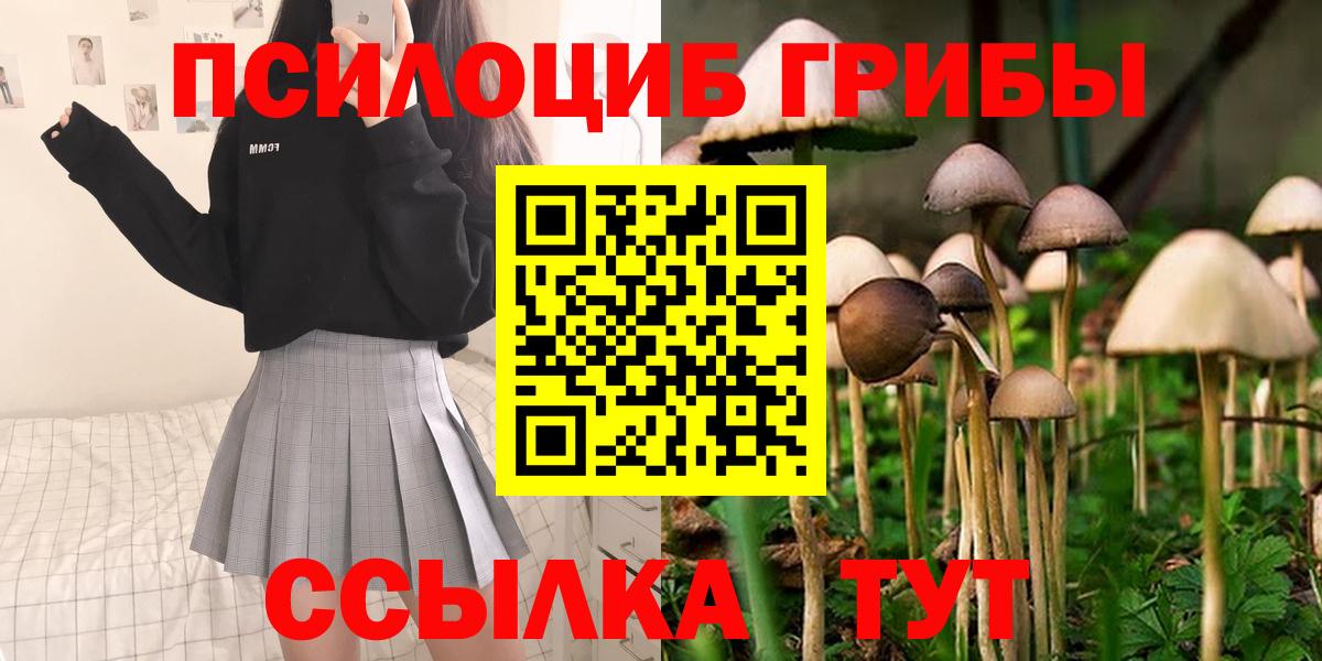Псилоцибиновые грибы мухоморы Мурино